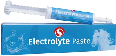 Sectolin - Electrolyte Pasta - 30 ML