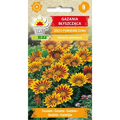 Gazania splendens geel-oranje bloemzaden-503 Toraf