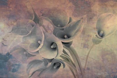 Fotobehang - Flower Abstract I 375x250cm - Vliesbehang