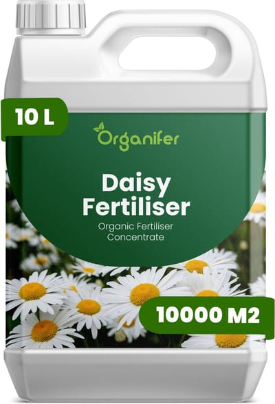 Vloeibare Meststof Voor Margriet 10 L Voor 10000 M2 - Npk 2-1-8 - Krachtige Groei - Rijke Bloei - Heldere Bloemen - Sterke Wortels -Continue Bloei- Betredingsbestendig - Kleurintensiteit - Langdurige Bloei - Herhaalde Bloeicycli - Organifer