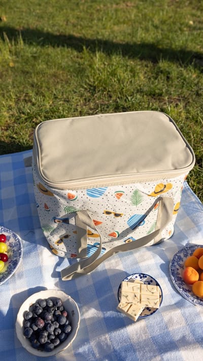 Geïsoleerde Koeltas| Lunchtas| Thermotas| 20 Liter| Picknicktas| Koeltas voor op reis met draagband