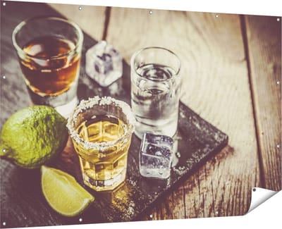 Gards Tuinposter Alcoholische Drankjes - Drank - 180x120 cm - Tuindoek - Tuindecoratie - Wanddecoratie buiten - Tuinschilderij