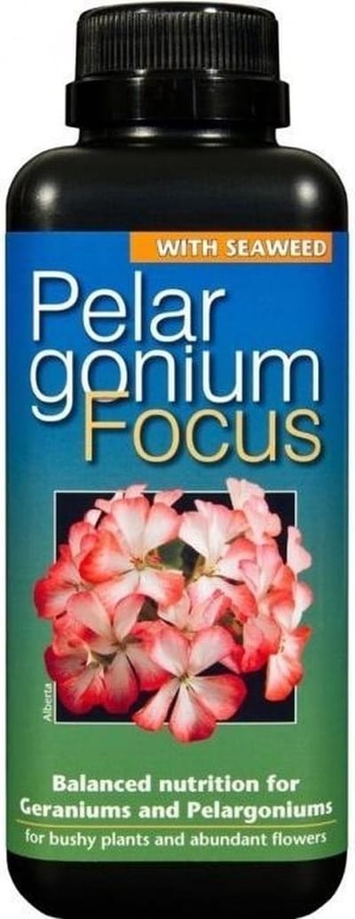GROWTH TECHNOLOGY GERANIUM FOCUS – 100 ML