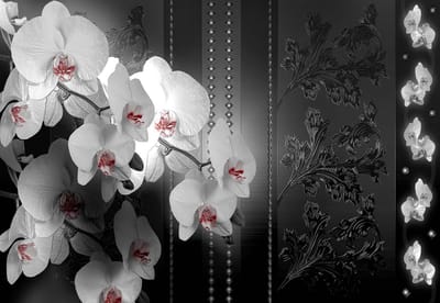 Fotobehang Flowers Floral | XL - 208cm x 146cm | 130g/m2 Vlies
