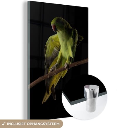 MuchoWow® Glasschilderij 100x150 cm - Schilderij acrylglas - Papegaai - Vogel - Tak - Foto op glas - Schilderijen