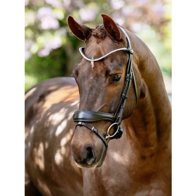Anatomische paardenruiters biedingen LeMieux