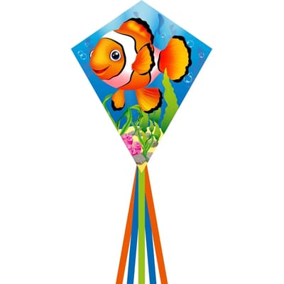 Kindervlieger HQ Eddy 70 Clownfish 102114 Regenboog 58 x 70 cm + 250 cm staart