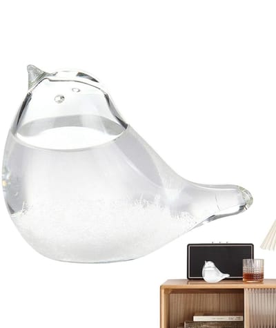 Stormglas Weerstation - Voorspeller Globe - Weer Voorspellen - Vogel Figuur - 23 x 15 x 10 cm - Transparant