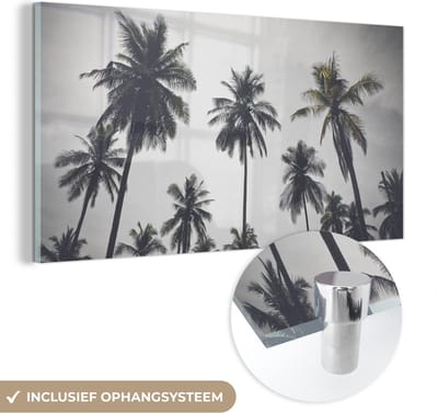 MuchoWow® Glasschilderij 40x20 cm - Schilderij acrylglas - Palmboom - Tropisch - Natuur - Foto op glas - Schilderijen
