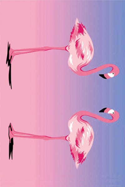 Diamond Painting Flamingo