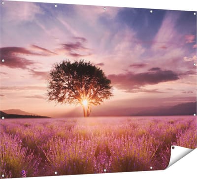 Gards Tuinposter Bloemenveld met Lavendel bij Zonsondergang - 160x120 cm - Tuindoek - Tuindecoratie - Wanddecoratie buiten - Tuinschilderij