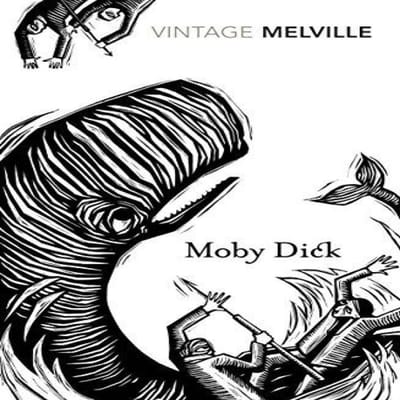 MobyDick door Herman Melville Paperback Boek 9780099511182