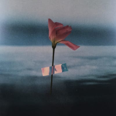 Will Samson - Paralanguage (LP) (Coloured Vinyl)