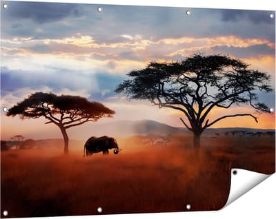 Gards Tuinposter Olifant in het Wild - Savanne - 120x80 cm - Tuindoek - Tuindecoratie - Wanddecoratie buiten - Tuinschilderij