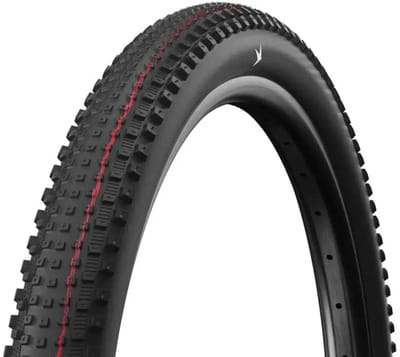 Schwalbe Rick Xc Pro Addix Speed Tubeless 29´´ X 2.40 Mtb-band Zilver 29´´ x 2.40