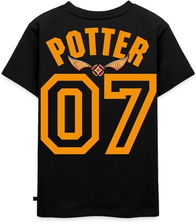 Harry Potter Gryffindor Quidditch Potter Premium T Shirt Kinderen