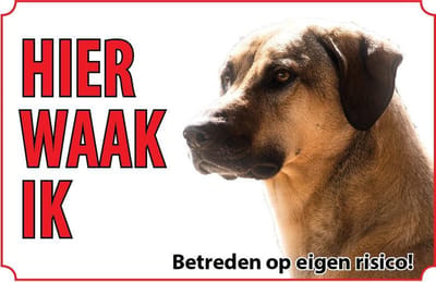 Bord - Hond-Anatolische- herder-Kangal