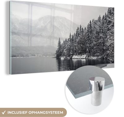 MuchoWow® Glasschilderij 40x20 cm - Schilderij acrylglas - Water - Winter - Natuur - Dennenboom - Foto op glas - Schilderijen