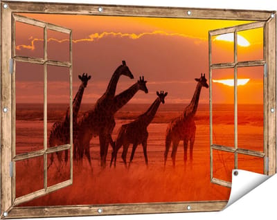 Gards Tuinposter Doorkijk Giraffe Kudde bij Zonsondergang - 120x80 cm - Tuindoek - Tuindecoratie - Wanddecoratie buiten - Tuinschilderij