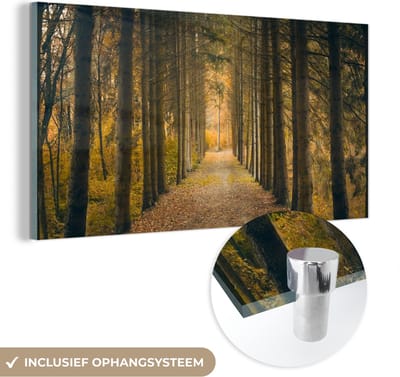 MuchoWow® Glasschilderij 40x20 cm - Schilderij acrylglas - Pad - Bomen - Bos - Foto op glas - Schilderijen