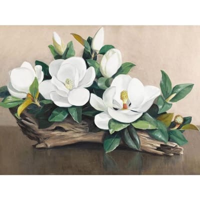 DIY 5D diamant borduurwerk Magnolia bloemen Diamond schilderij kruissteek Home Decor 20X30CM