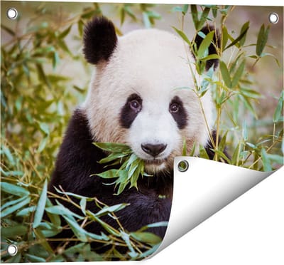 Gards Tuinposter Panda Eet Planten - 50x40 cm - Tuindoek - Tuindecoratie - Wanddecoratie buiten - Tuinschilderij