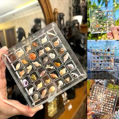 Acryl magnetische zeeschelp displaybox voor opberging en organisatie