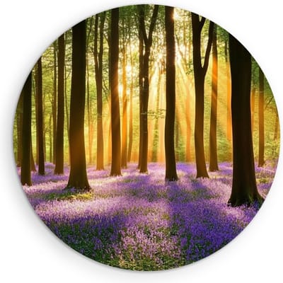 Saammp Muurcirkel Hout - Natuur - weg door het bos - Herfst - landschappen - Ø 90 - Wandcirkel - Wanddecoratie Cirkel - Muurdecoratie Woonkamer - Slaapkamer decoratie - Rond Schilderij