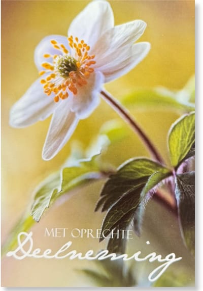 Cards & Crafts Condoleancekaart - Met Oprechte Deelneming Wenskaart - 12 x 17 cm - gevouwen kaart Inclusief envelop