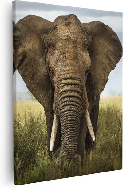 Artaza Canvas Schilderij Olifant Afrika - 40x50 cm - Wanddecoratie Woonkamer - Muurdecoratie Dieren - Kamer Accessoires