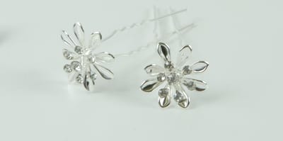 Haarpinnen bloem groot strass points
