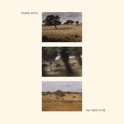 Forest In Me - Xylouris White