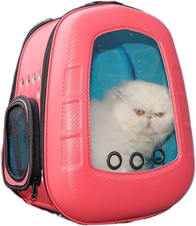 Katten Drager Rugzak - Huisdier Rugzak Transparant - Reizen met Huisdier - Bubbelvenster Zichtbaar