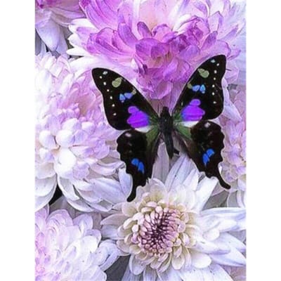 5D diamant schilderij bloem vlinder volledige ronde boor mozaïek DIY diamant borduurwerk 20X30CM black
