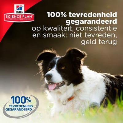 Hill's Science Plan Canine Hondenvoer Blik - Adult - Rund - 370 Gram - 6 Stuks