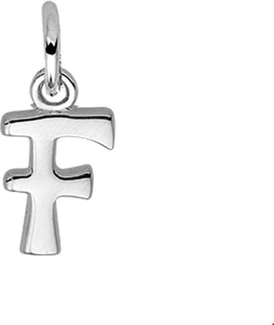 Zilveren Hanger letter F 1002766