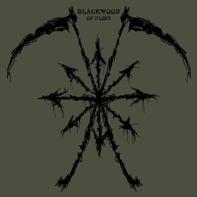Blackwood - Of Flies (LP)
