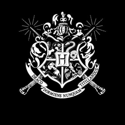 Harry Potter Hogwarts Dames T-shirt - Zwart - L