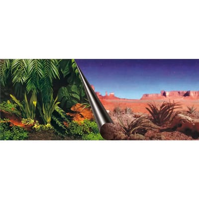 Aquarium achtergrond poster Aqua Della Tree & Rock