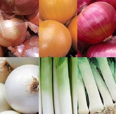 Uien zaden en prei zaden assortiment zaadlint