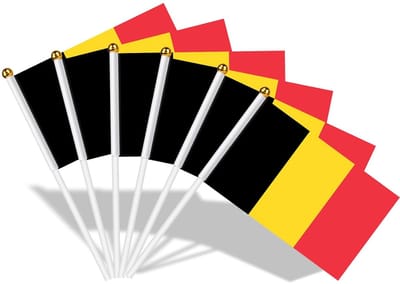 15 Stuks Kleine Belgische Vlaggen met Stokken voor Feestdecoraties