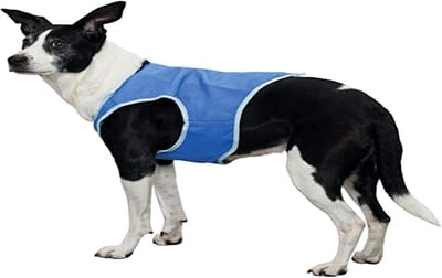 Famanu - Koelvest voor honden - PVA - Maat S - Verkoelend zomeraccessoire