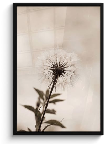 Poster in lijst - Fotolijst 60x90 cm - Posters - Paardenbloem - Minimalistisch - Wit - Posterlijst zwart - Decoratie - Wanddecoratie woonkamer - Muurdecoratie slaapkamer