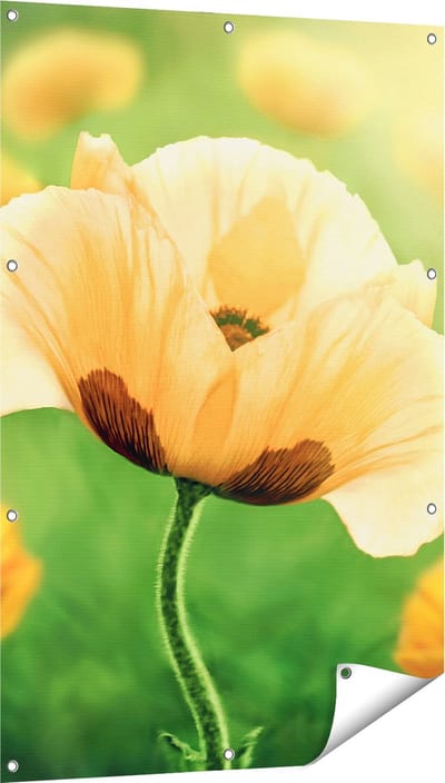 Gards Tuinposter Oranje Klaproos Bloemen - 80x120 cm - Tuindoek - Tuindecoratie - Wanddecoratie buiten - Tuinschilderij