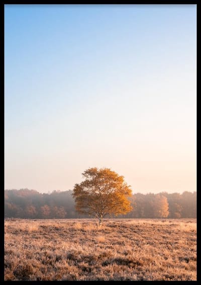 Poster Beautiful Day - 30x40 cm - Natuur Poster - WALLLL