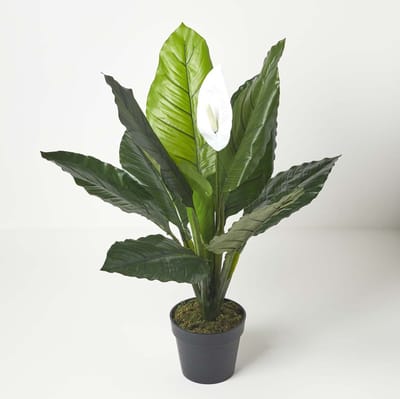 Homescapes Kunstplant Spathiphyllum Wallisii, Vredelelie met witte bloemen, 90 cm