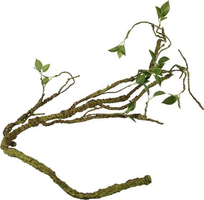 Terra Della - Natuurlijke Decoratie - Reptielen - Plantentak Dik 110cm Groen - 1st