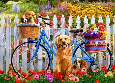 Pedaal Pups Puzzel - Legpuzzel Honden - Ontspannen Vrije Tijd - 1000 Stukjes - 68 x 49 cm - Meerdere kleuren