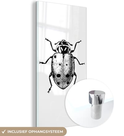 MuchoWow® Glasschilderij 20x40 cm - Schilderij acrylglas - Vintage - Lieveheersbeestje - Insecten - Zwart wit - Foto op glas - Schilderijen