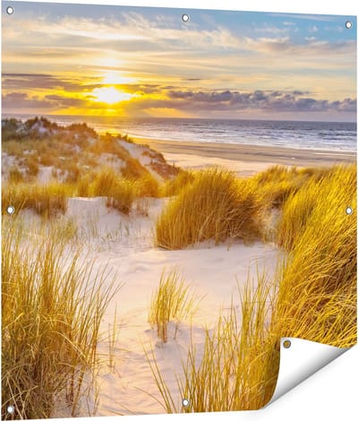 Gards Tuinposter Strand en Duinen tijdens Zonsondergang - 90x90 cm - Tuindoek - Tuindecoratie - Wanddecoratie buiten - Tuinschilderij